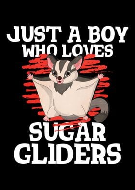 Sugar Gliders Boy Love