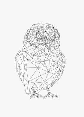 Owl Lowpoly Wireframe