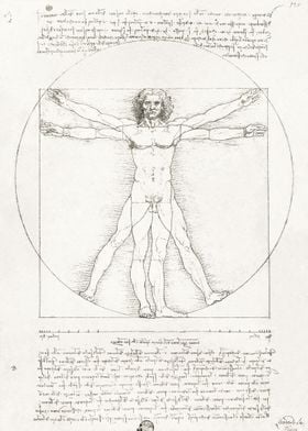 Vitruvian Man