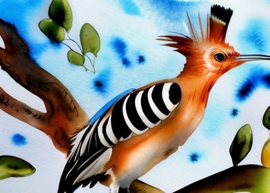 A beautiful hoopoe bird