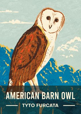 Retro American Barn Owl
