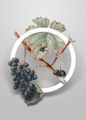 Barbera Grape Flower Art