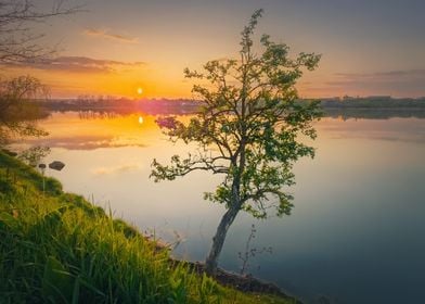 Sundown scene at the lake 