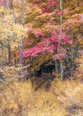 Yellow and Pink Trees