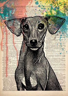 greyhound dog line ART
