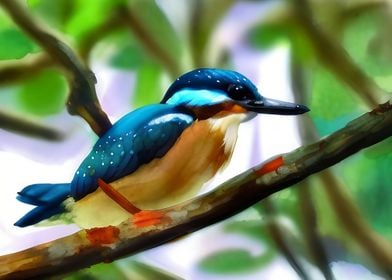 A beautiful kingfisher