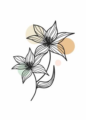 hand drawn flowers