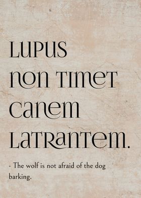 Latin Quote Brave Men