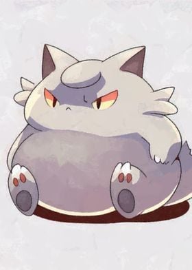 Chubby cat