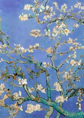 Almond Blossoms in Blue
