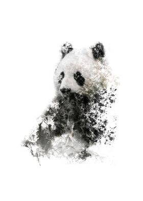 panda