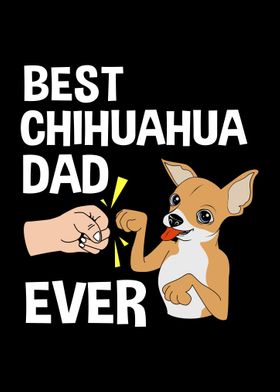 Chihuahua Dad