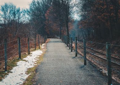 Walking down a winter trai