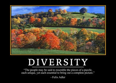 Diversity quotes 