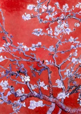 Almond Blossoms in Red