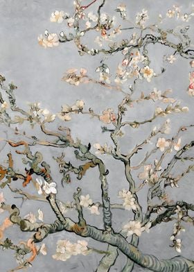 Almond Blossoms in Gray