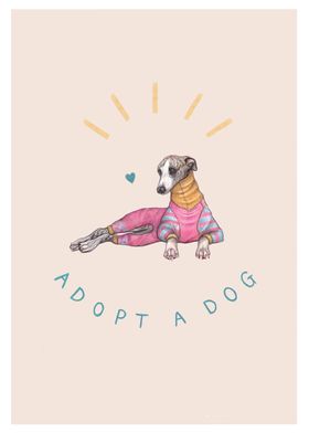 Adopt a Dog