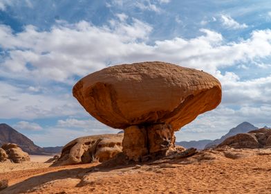 A mushroom of the desert