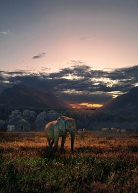  Evening Elephant
