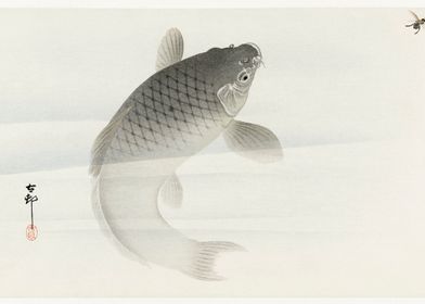 Fish sketch illustration