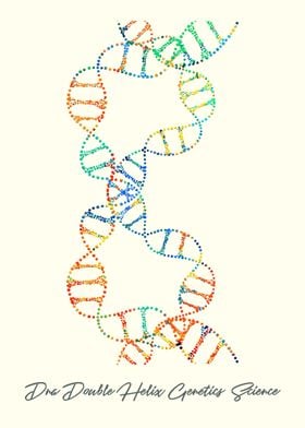 Dna Double Helix Genetics 