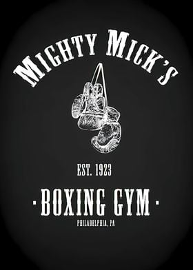 Mighty Micks Boxing Gym