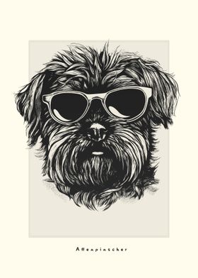 Affenpinscher Illustration