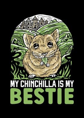 Chinchilla Lover