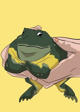 fat toad