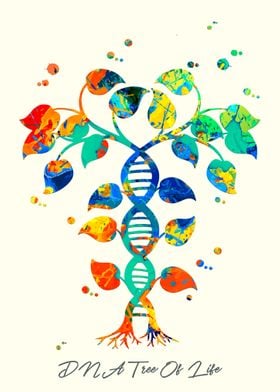 DNA Tree Of Life