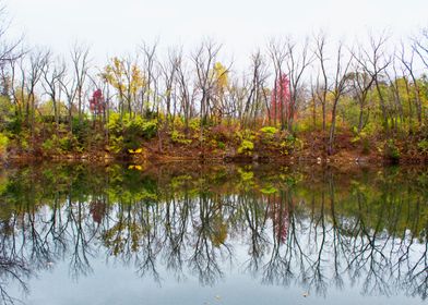 Fall reflection in water