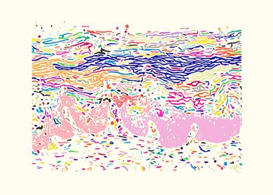 Cervical Histology