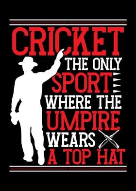 Cricket where the umpire w