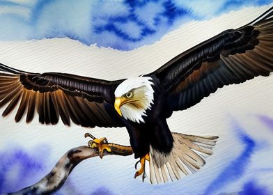 An eagle flying in sky