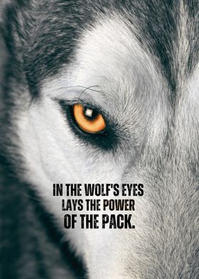 In the Wolfs Eyes Quote