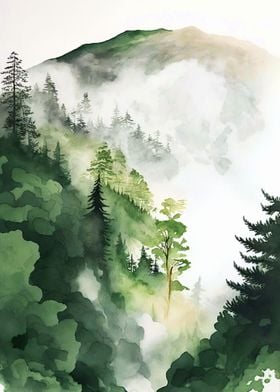 Foggy Green Forest 