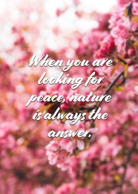 Nature is the Answer Quote