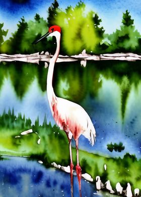 A crane standing by a lake