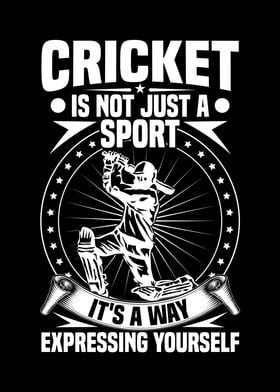 Cricket its a way expressi