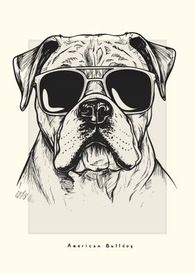 American Bulldog Sketch