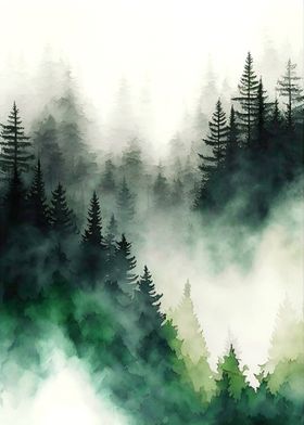 Foggy Green Forest 