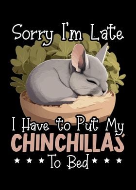 Chinchilla Lover