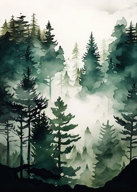 Foggy Green Forest 