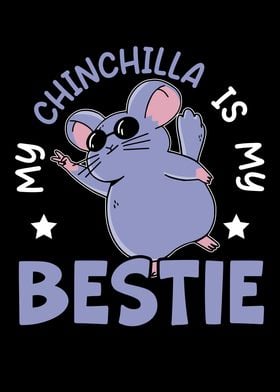 Chinchilla Lover