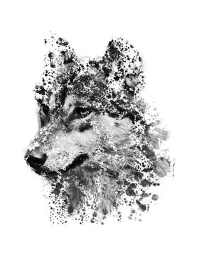 'cool wolf' Poster by Ratna Mutia Dewi | Displate