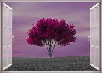 Open window tree violet