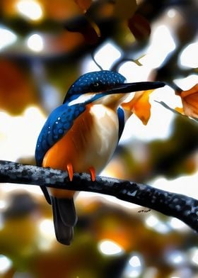 A beautiful kingfisher