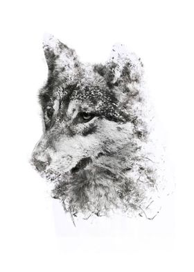 wolf painting