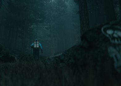 Dark Forest Scene 2 3D