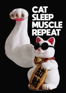 cat sleep muscle repeat